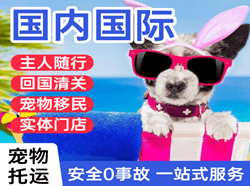 吕梁航空物流国际宠物托运 【国